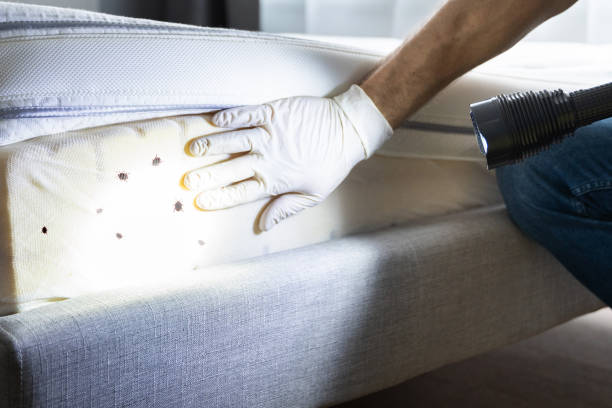 Best Pest Inspection Near Me  in Gettysburg, PA