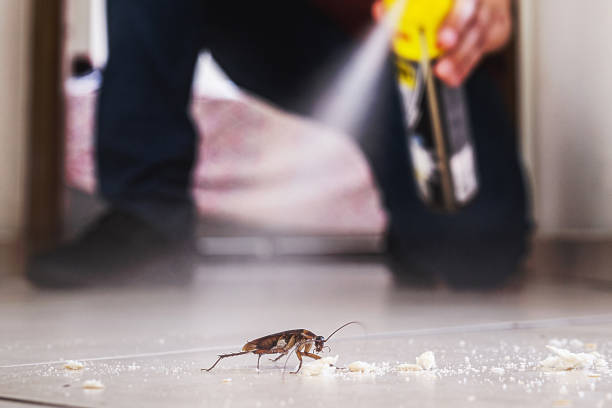 Best Wildlife Control Services  in Gettysburg, PA