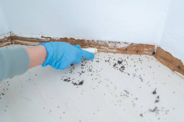 Best Pest Removal Services  in Gettysburg, PA