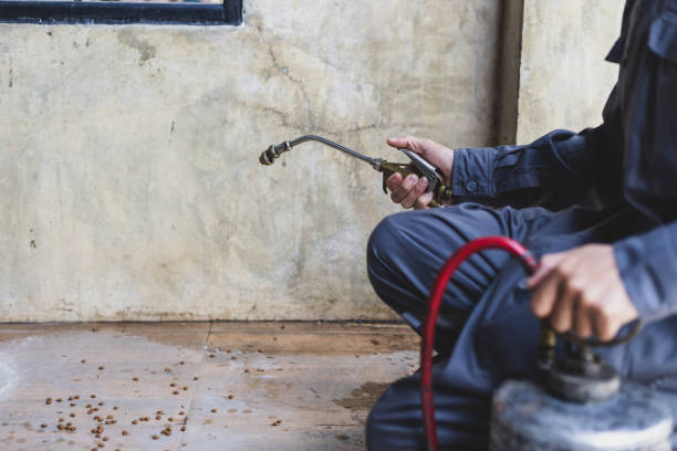 Best Mosquito Control Services  in Gettysburg, PA