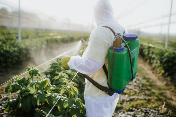 Best Bed Bug Extermination  in Gettysburg, PA